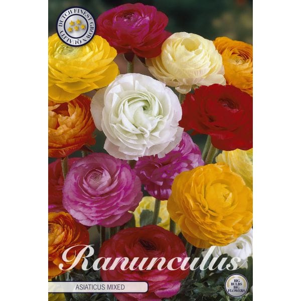 Colourful ranunculus flowers with a brand logo on a white background