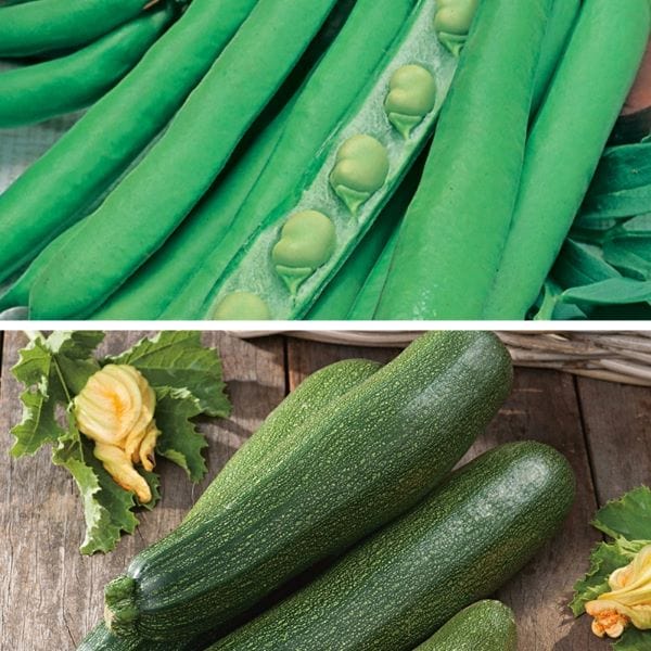 Better together: Leaf & Legume