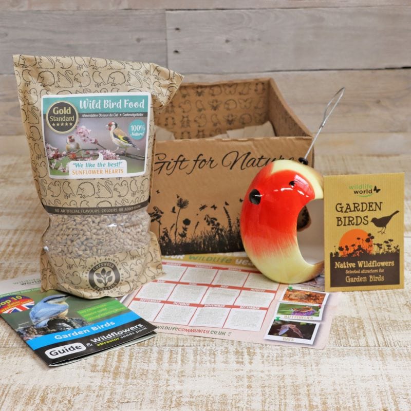 Robin Gift Box