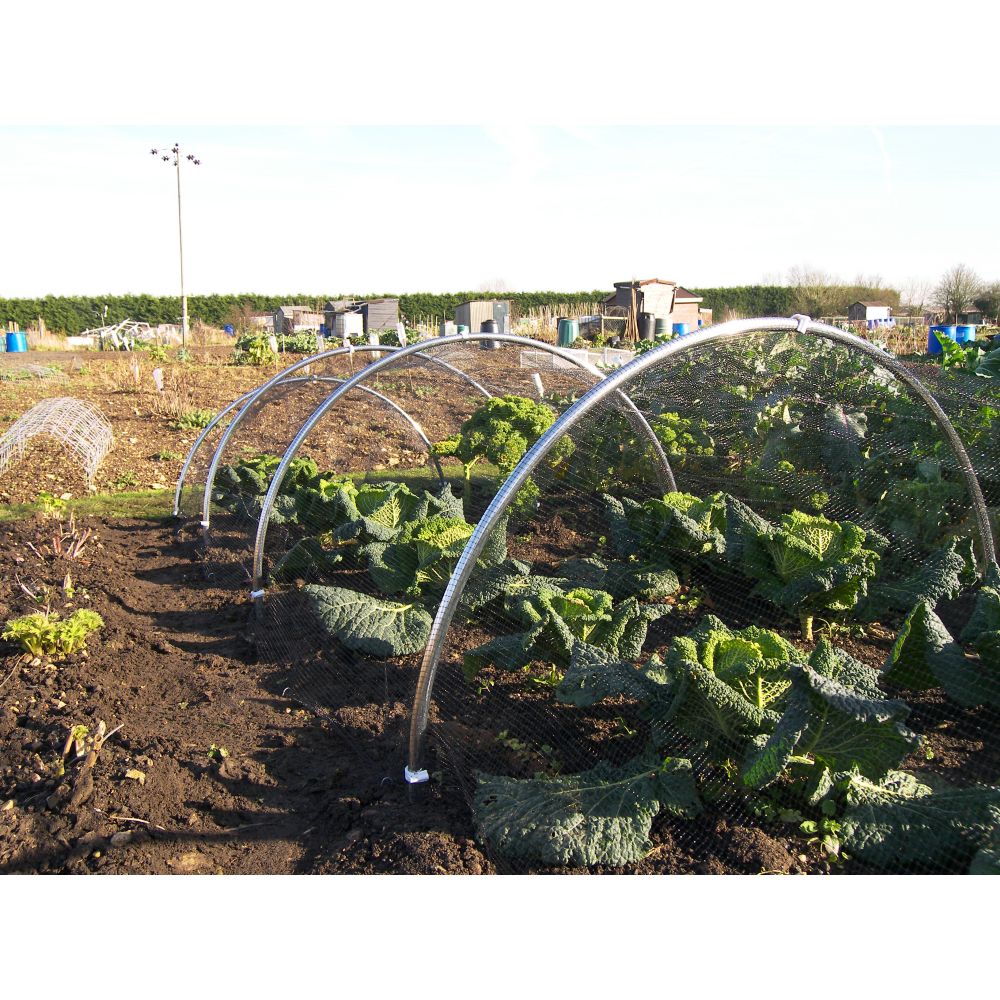 Vegetable garden with hoop houses and plants growing inside