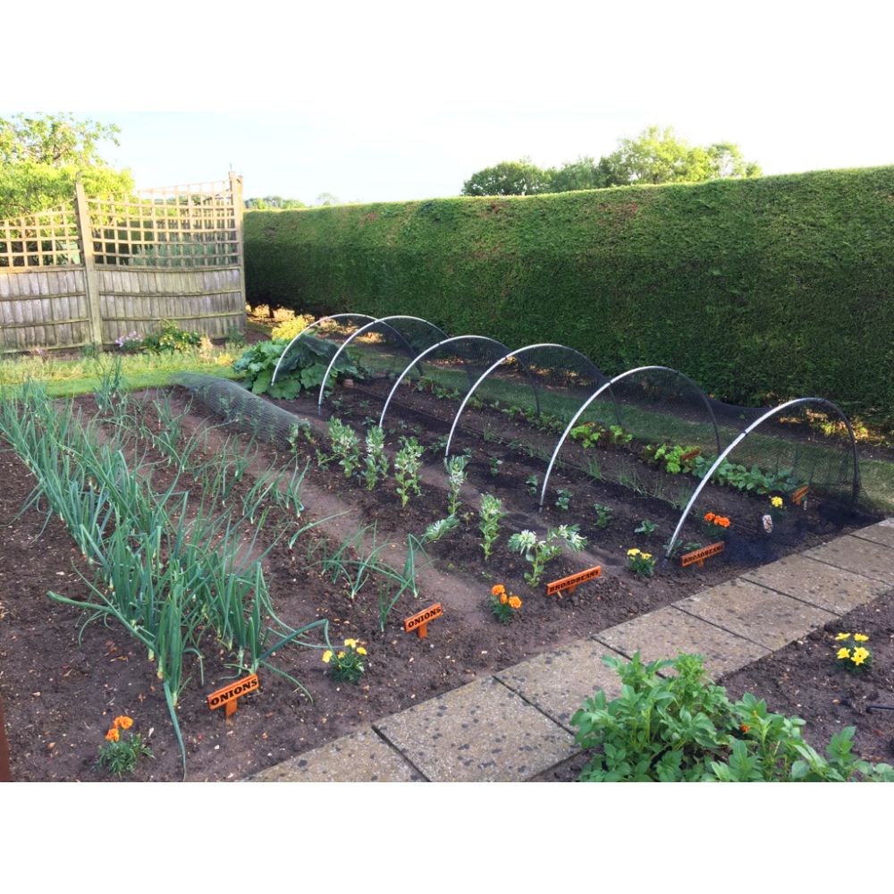 Vegetable garden with raised beds and a wooden fence in the background