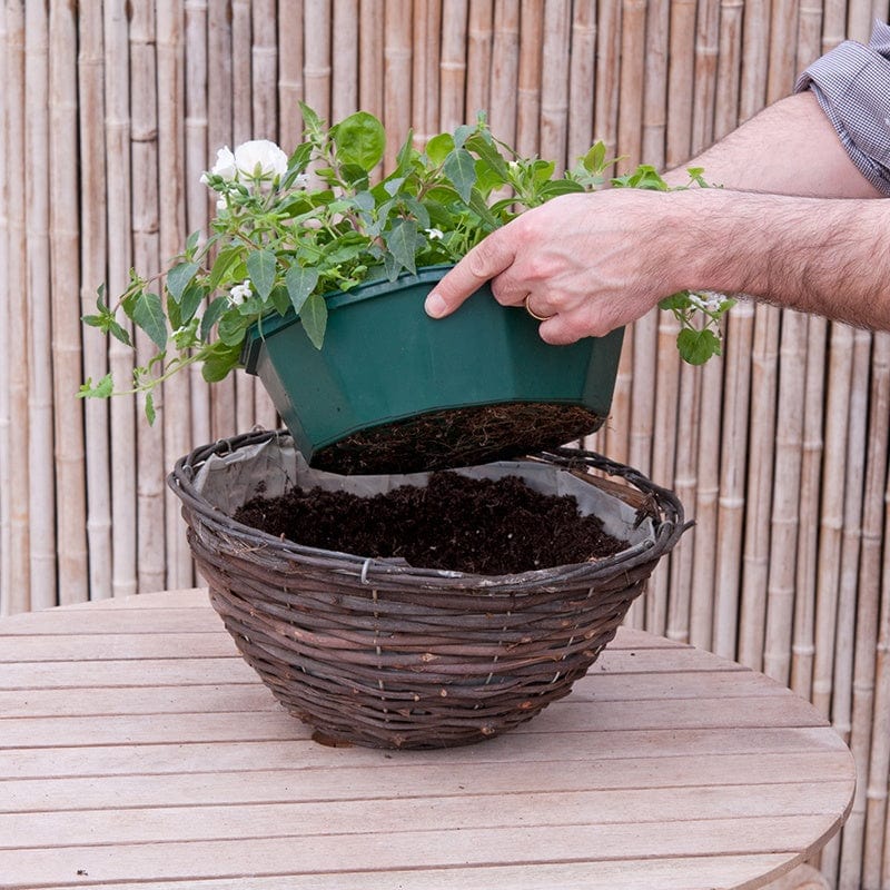 Speedplanter Multi-Coloured Basket Mix Flower Plants