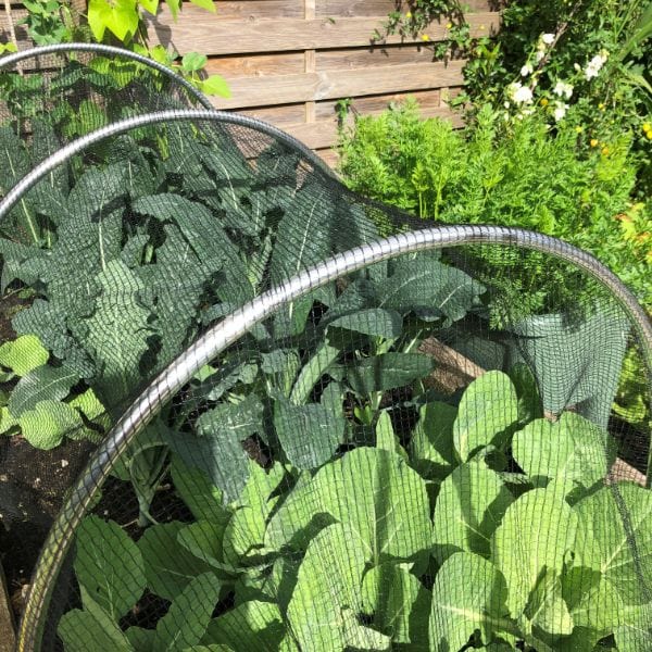 Butterfly Plant Protection Netting