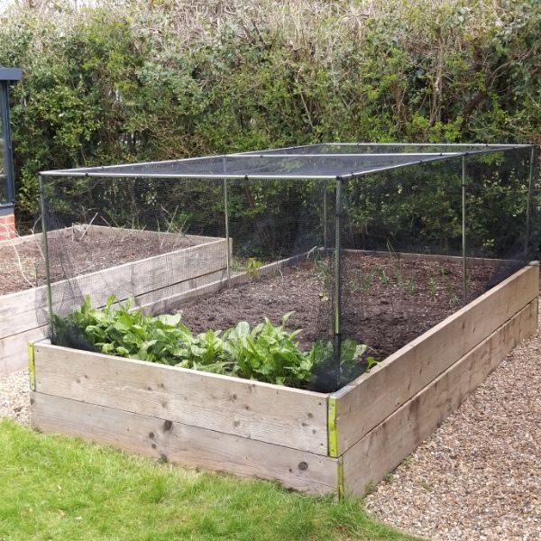 Butterfly Plant Protection Netting