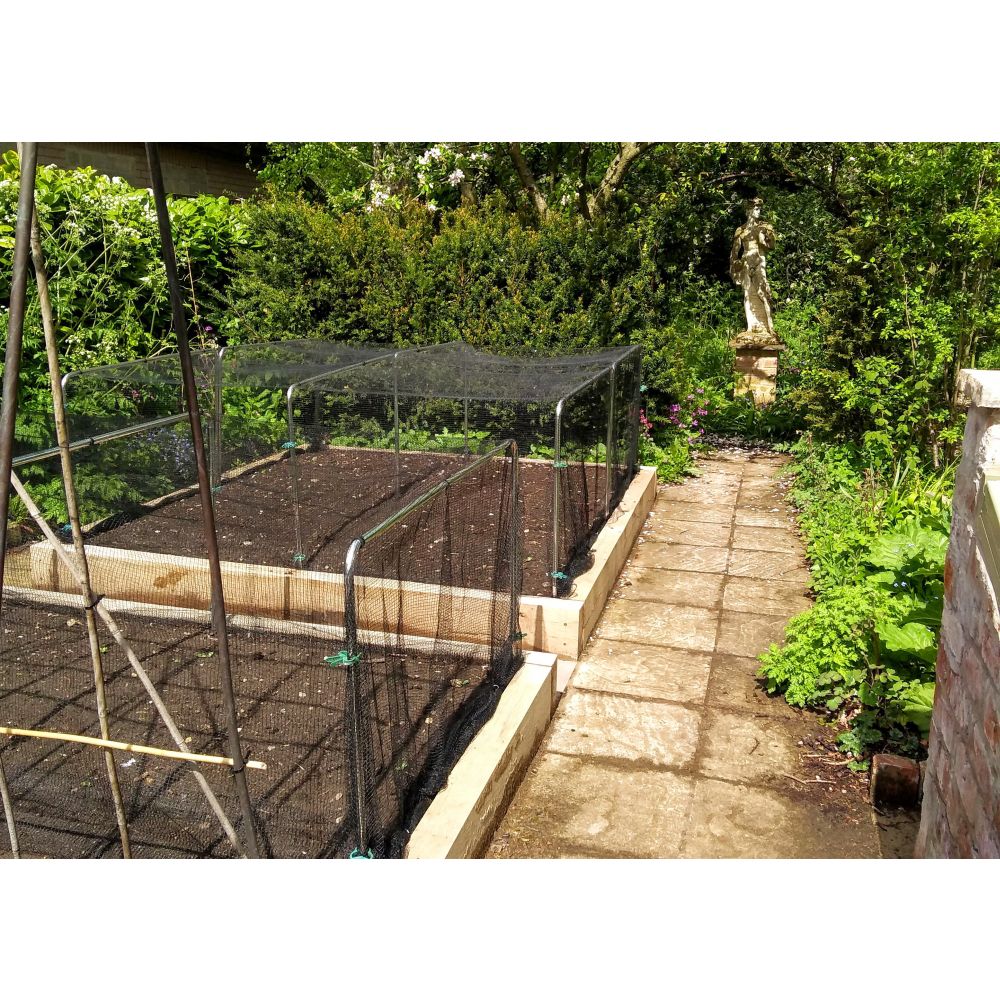 Garden with raised beds and a paved path, surrounded by trees and plants.