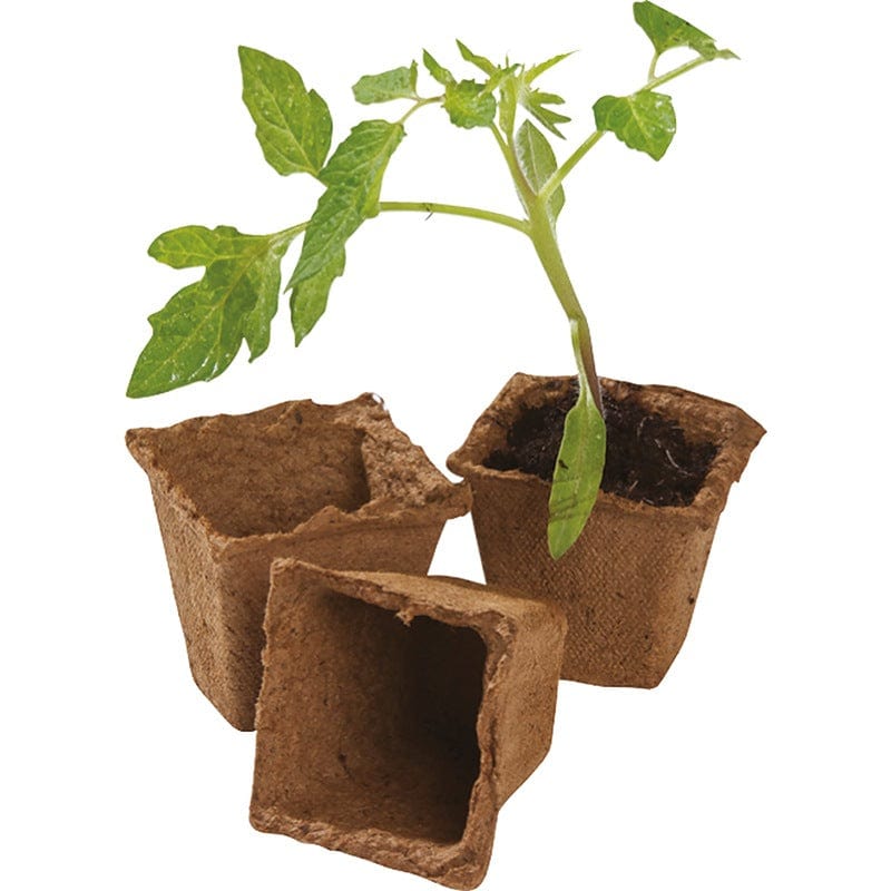 Square Fibre Pots 6cm x 80