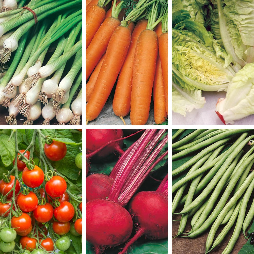 Starter Veg Patch Collection