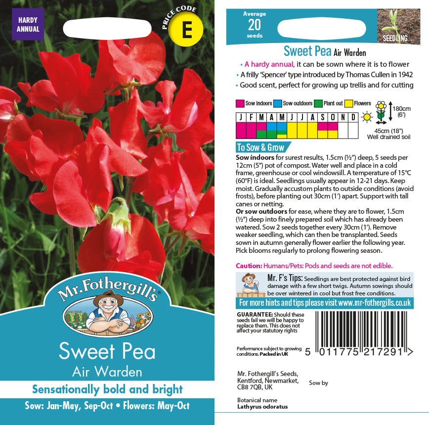 Sweet Pea Air Warden Seeds