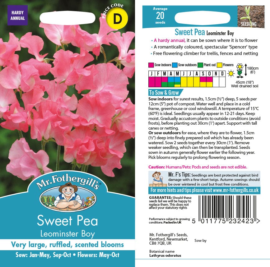 Sweet Pea Leominster Boy Seeds