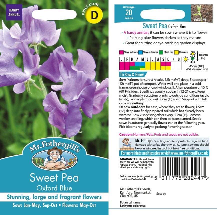 Sweet Pea Oxford Blue Seeds