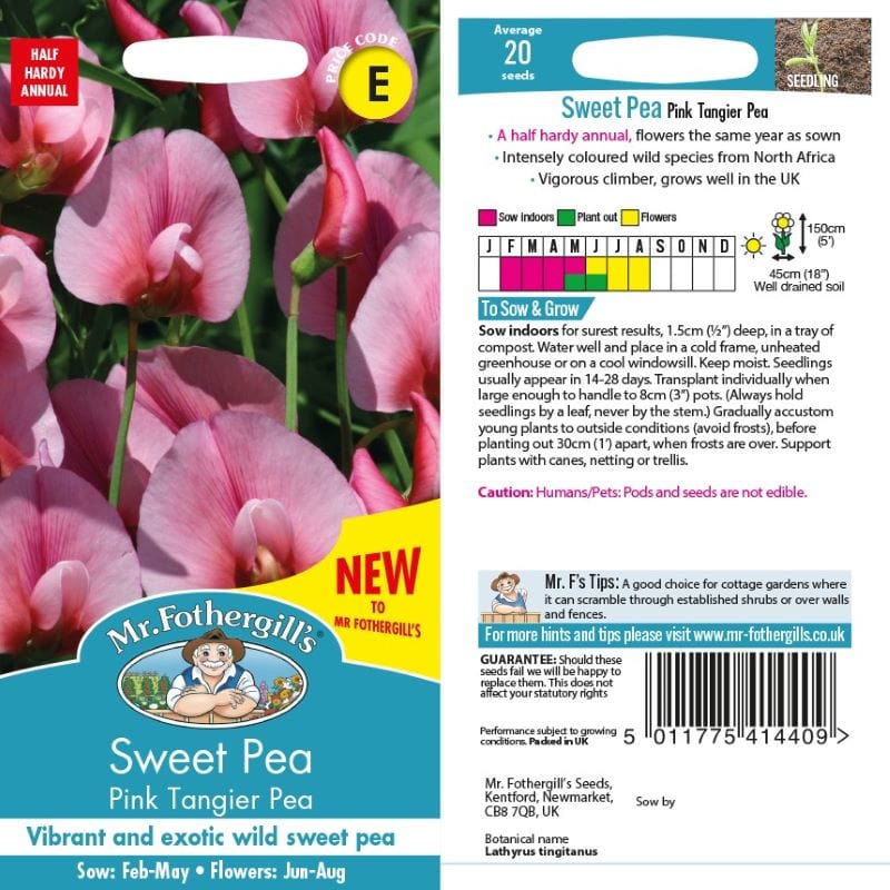 Sweet Pea Pink Tangier Pea Seeds