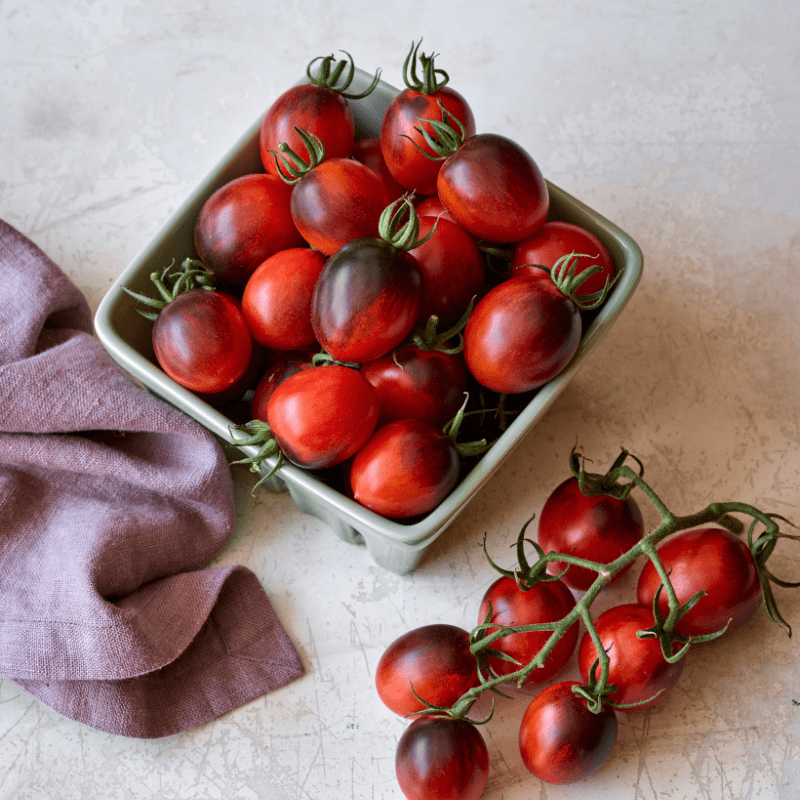 Tomato Black Moon F1 (Standard) Veg Plants