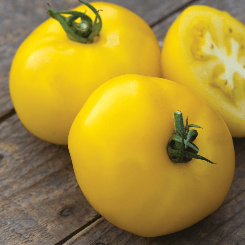 Tomato Lemonita F1