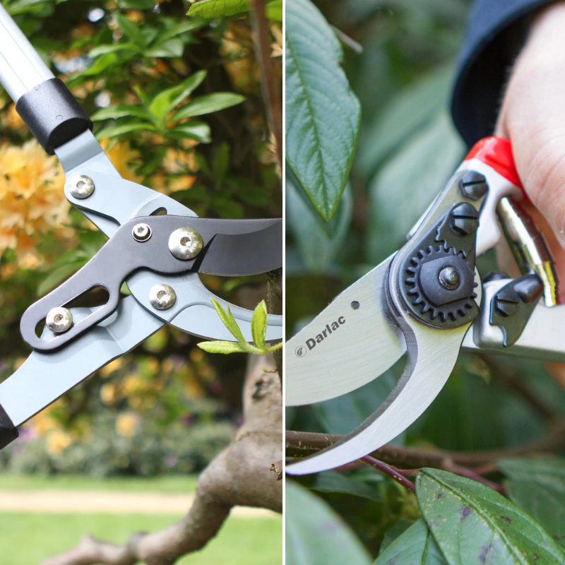 Darlac Expert Pruning Collection