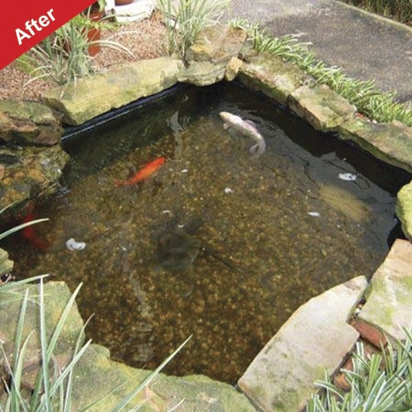 2.5g Small Pond Pack (treats up to 6,500 litres) Viresco Aqua Pond Clear Including Free Nitrate Test Strips