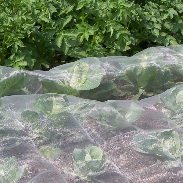 Veggiemesh Insect and Weather Netting