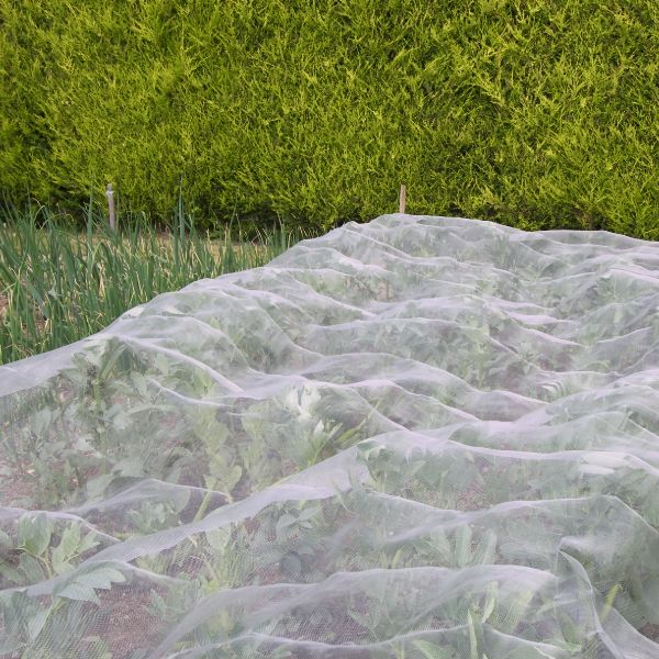Veggiemesh Insect and Weather Netting