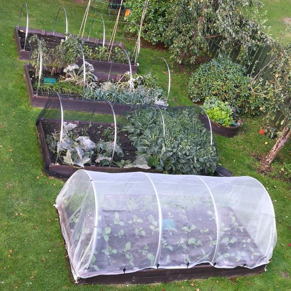 Veggiemesh Insect and Weather Netting
