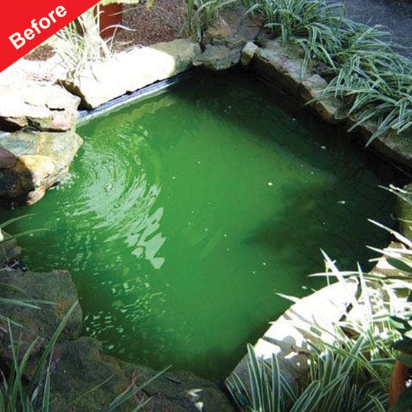 Viresco Aqua Pond Clear Including Free Nitrate Test Strips