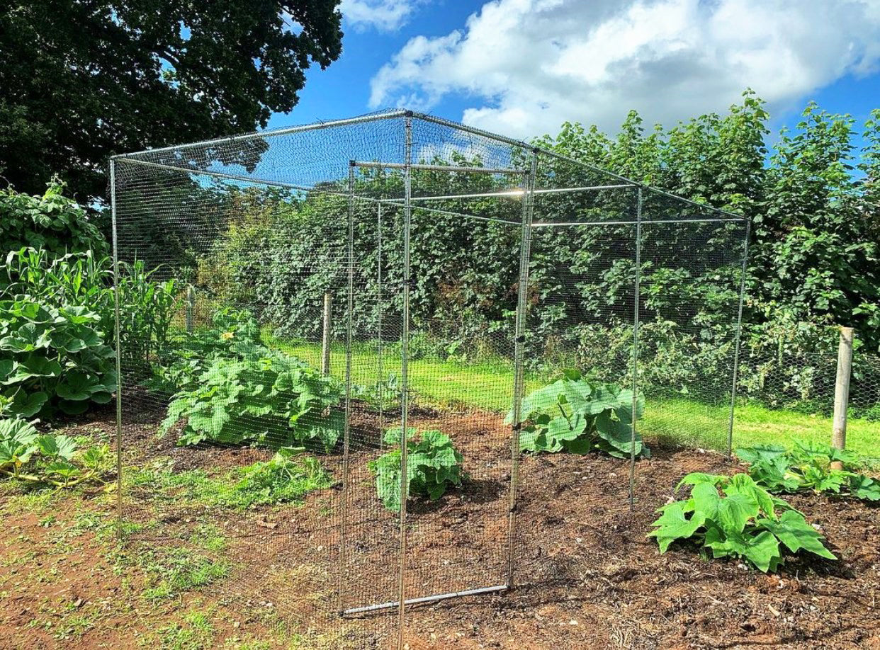 Vegetable garden with a wire fence enclosure under a blue sky with clouds.