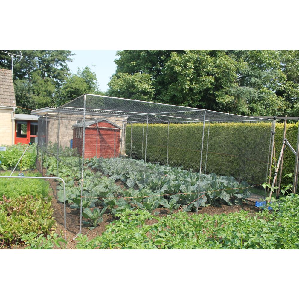 Vegetable garden with a wire fence in a rural setting