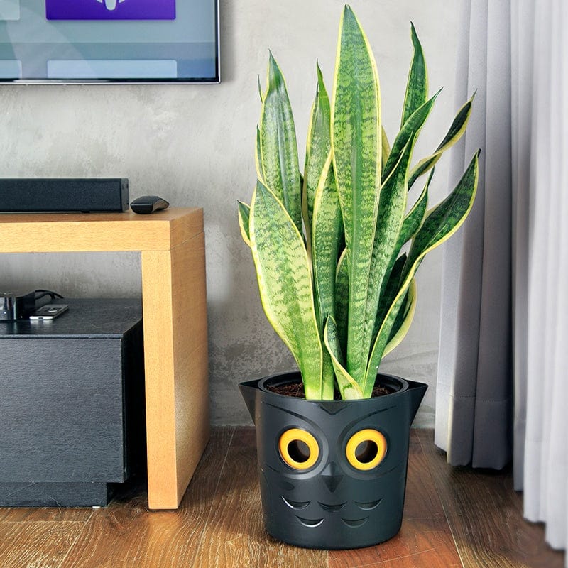 WaterMe Owl Pot