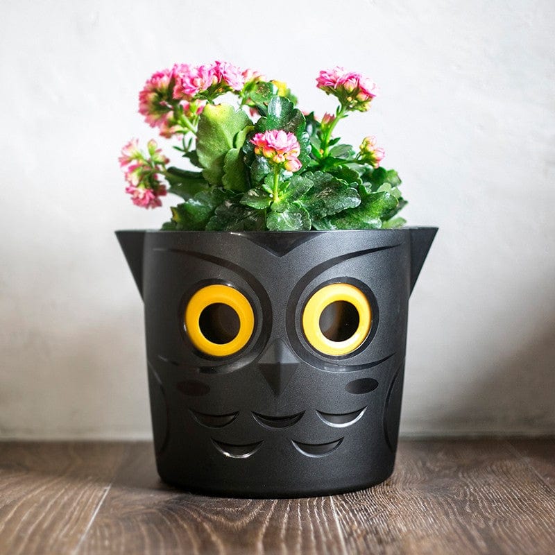 WaterMe Owl Pot