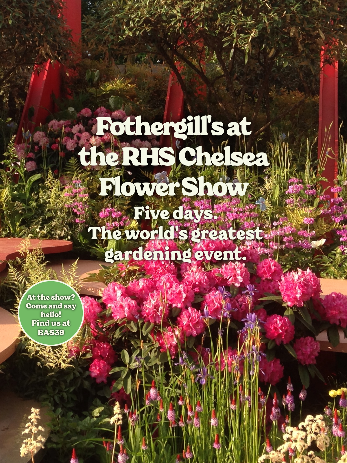 Gardening display with pink flowers and text about RHS Chelsea Flower Show.