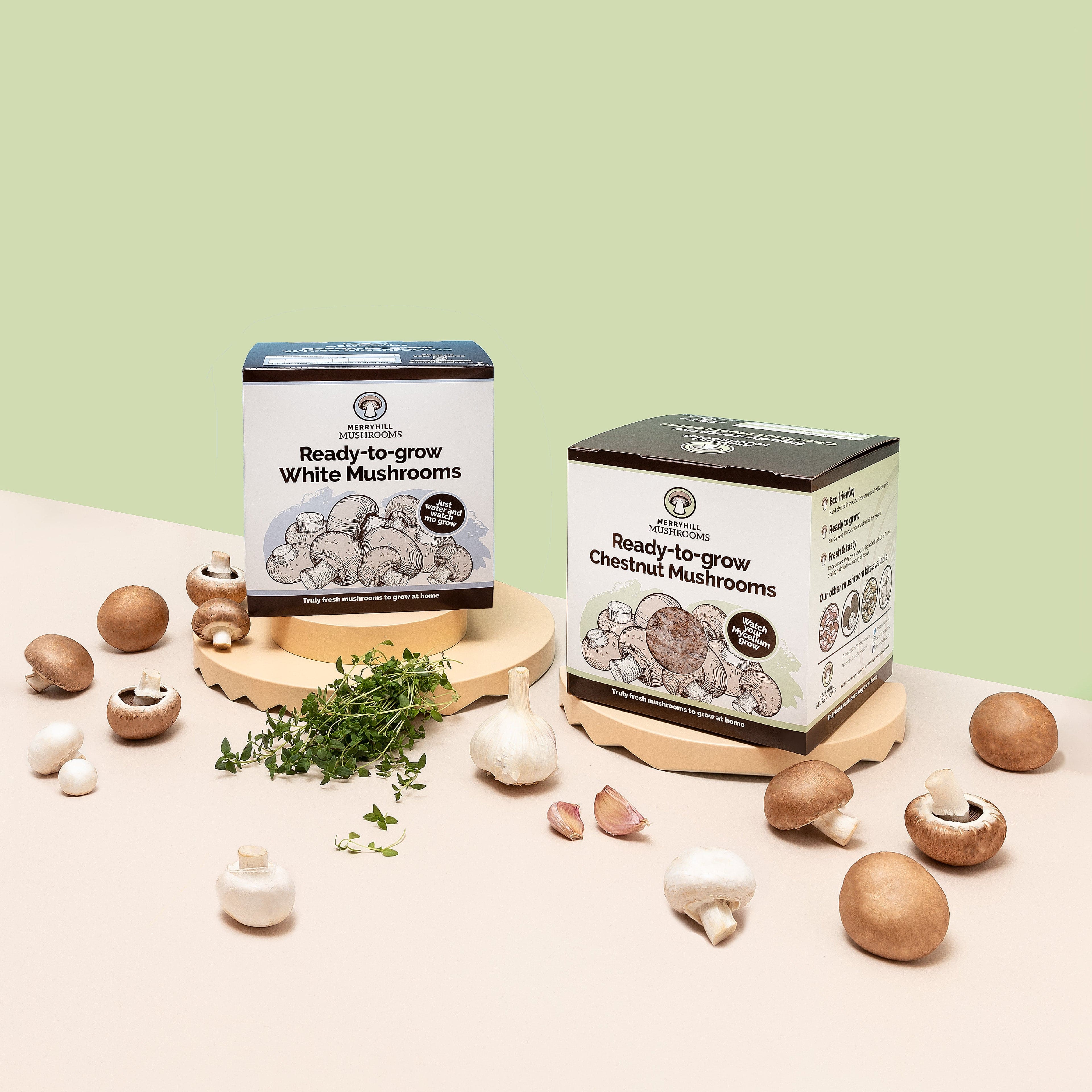 White Mushrooms Home Grow Kit