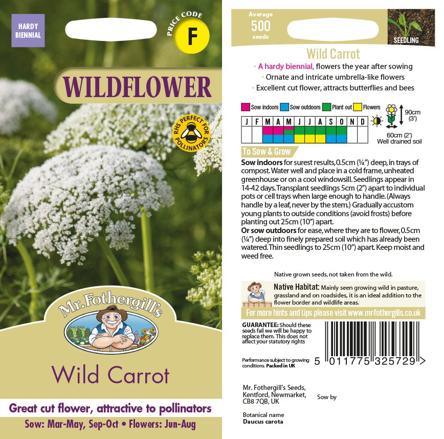 Wild Carrot Wildflower Seeds