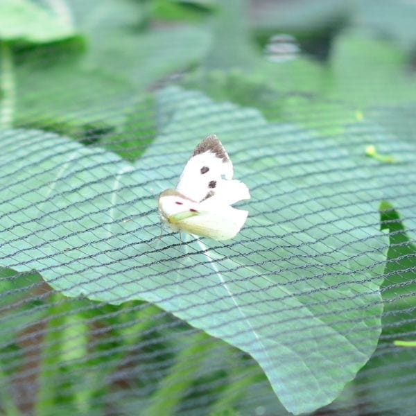 Butterfly Plant Protection Netting