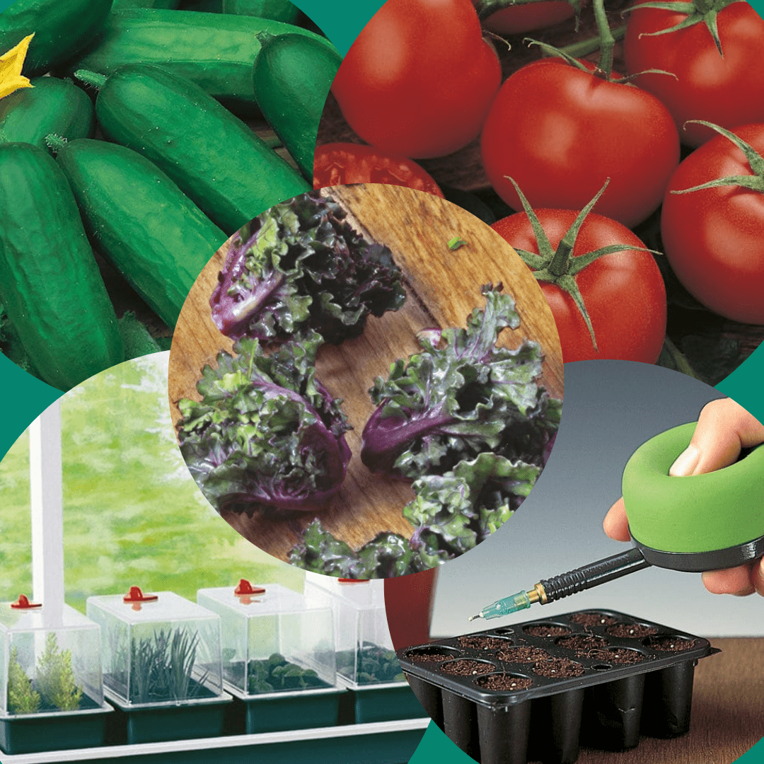 Super Large Veg Growing Kit With FREE Seeds