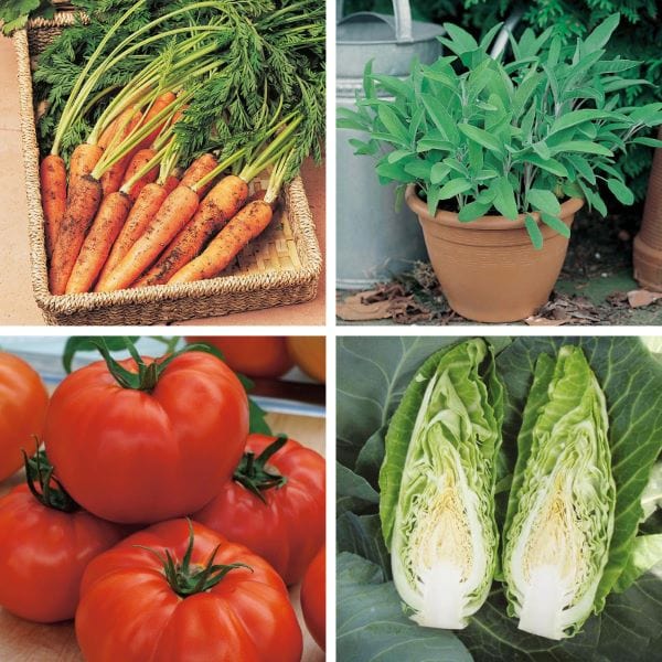 Better together: The Garden Gourmet