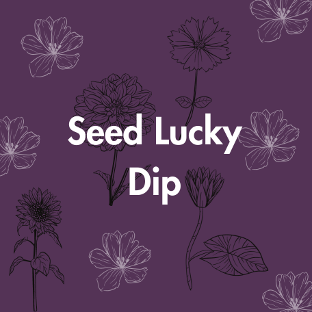 Lucky Dip Flower Seed Collection (5 packets)