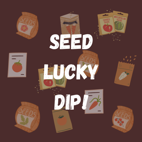Lucky Dip Vegetable Seed Collection (5 packets)