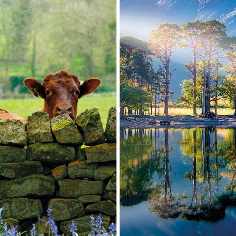 BBC CountryLife Greeting Cards